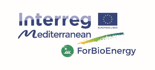 logo ForBioEnergy