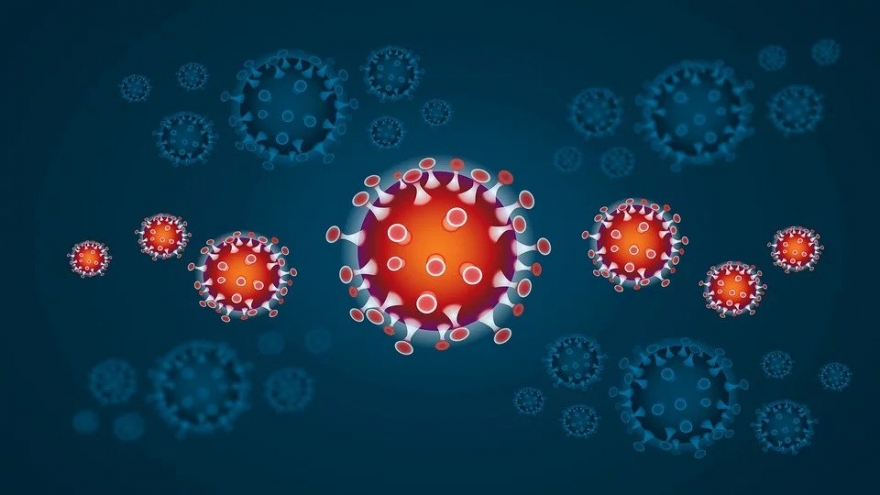 U Zadarskoj županiji 12 je novih slučajeva zaraze koronavirusom