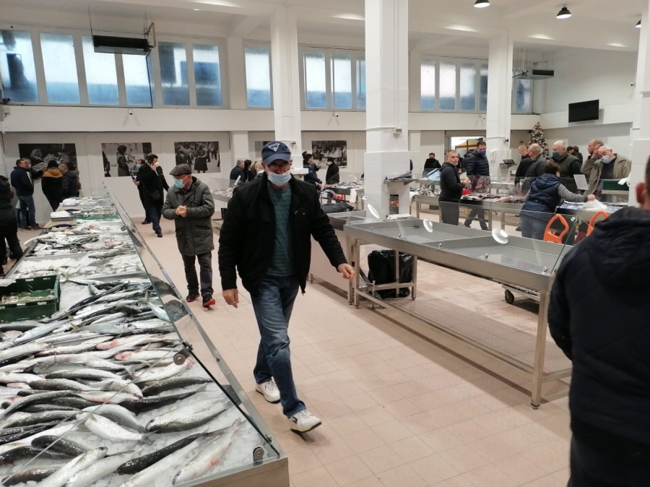 Kroz projekt Adri.SmArtFish postavljen umjetni riblji greben i opremljena zadarska ribarnica