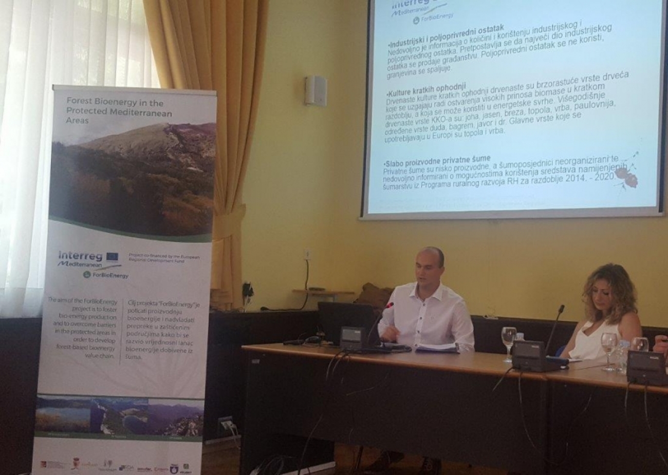 Održan prvi tehnički panel u sklopu projekta ForBioEnergy