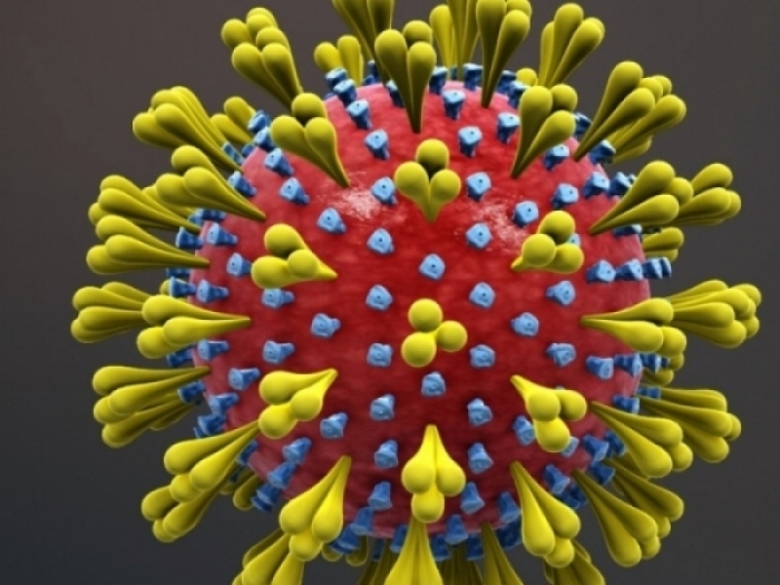 U protekla tri dana na području Zadarske županije 31 je novi slučaj zaraze koronavirusom