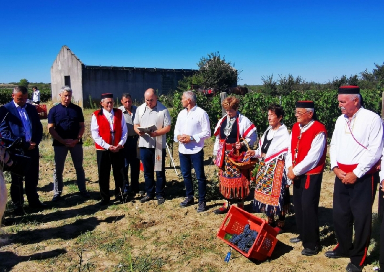 Vinari u Nadinu službeno otvorili sezonu berbe