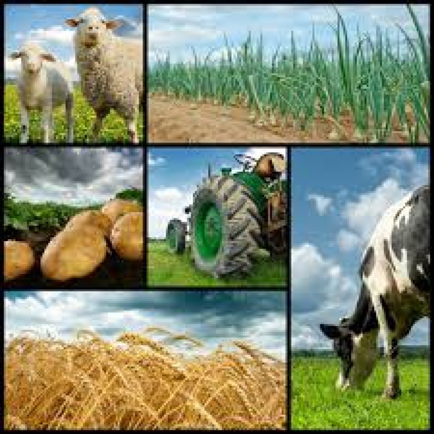 25. rujna - Radionica - obnova poljoprivrednog zemljišta i proizvodnog potencijala narušenog elementarnim nepogodama, nepovoljnim klimatskim prilikama i katastrofalnim događajima