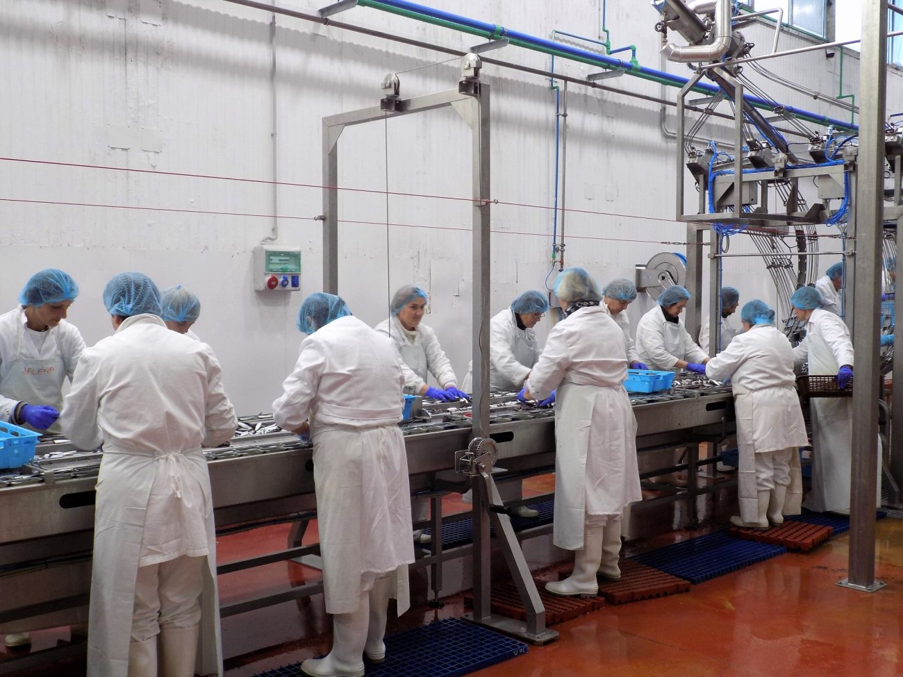 U rujnu u Zadarskoj županiji tri tisuće zaposlenih više nego lani