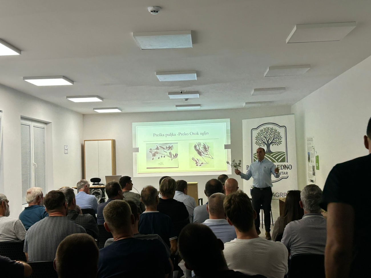 Radionica o morfologiji autohtonih sorti maslina Zadarske županije okupila stručnjake i maslinare u Zemuniku