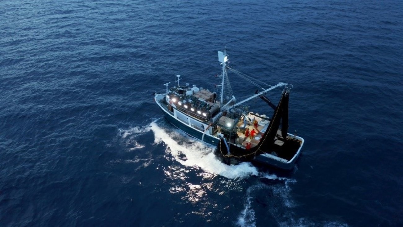 Pozivnica za ONLINE FINAL EVENT u sklopu projekta SAFE