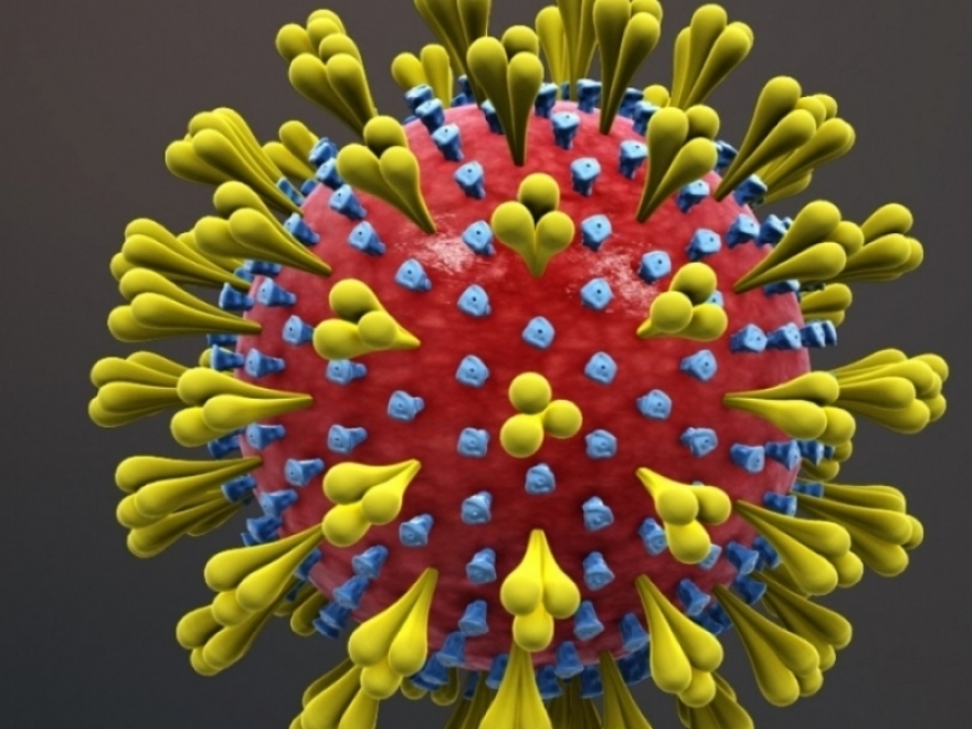 Negativan nalaz na koronavirus