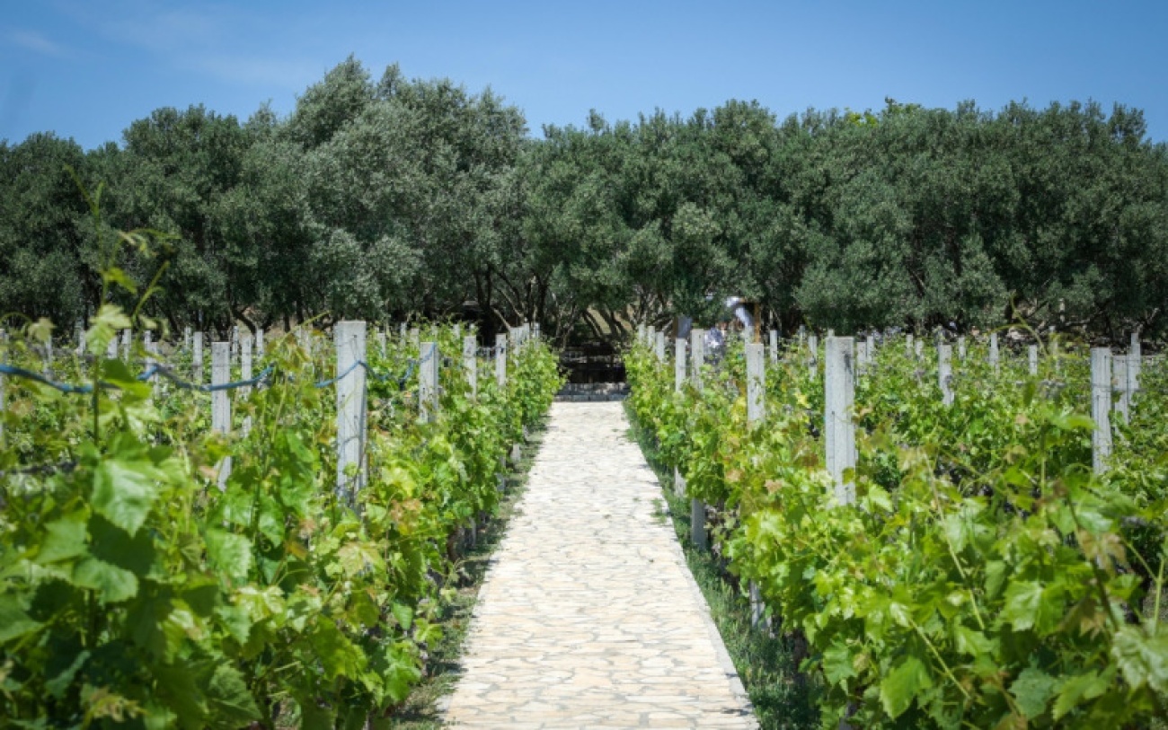 Osigurano 250 tisuća eura za poticanje poljoprivredne proizvodnje