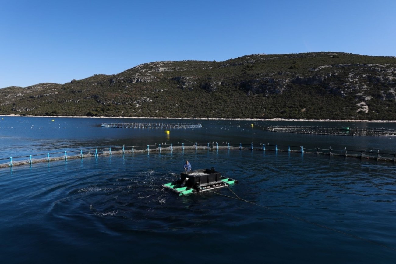 U svibnju u Zadarskoj županiji tri i pol tisuće više zaposlenih nego godinu ranije