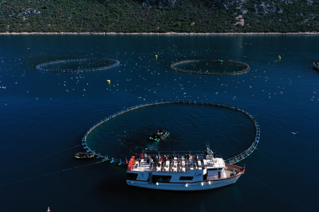 Zadarska županija ruši rekorde: U studenome gotovo 67 tisuća zaposlenih, rast od 40 posto u deset godina!