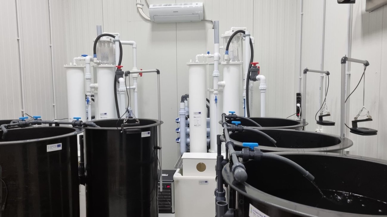 Projekt Argos u finalu izbora za najbolji europski projekt 2024.