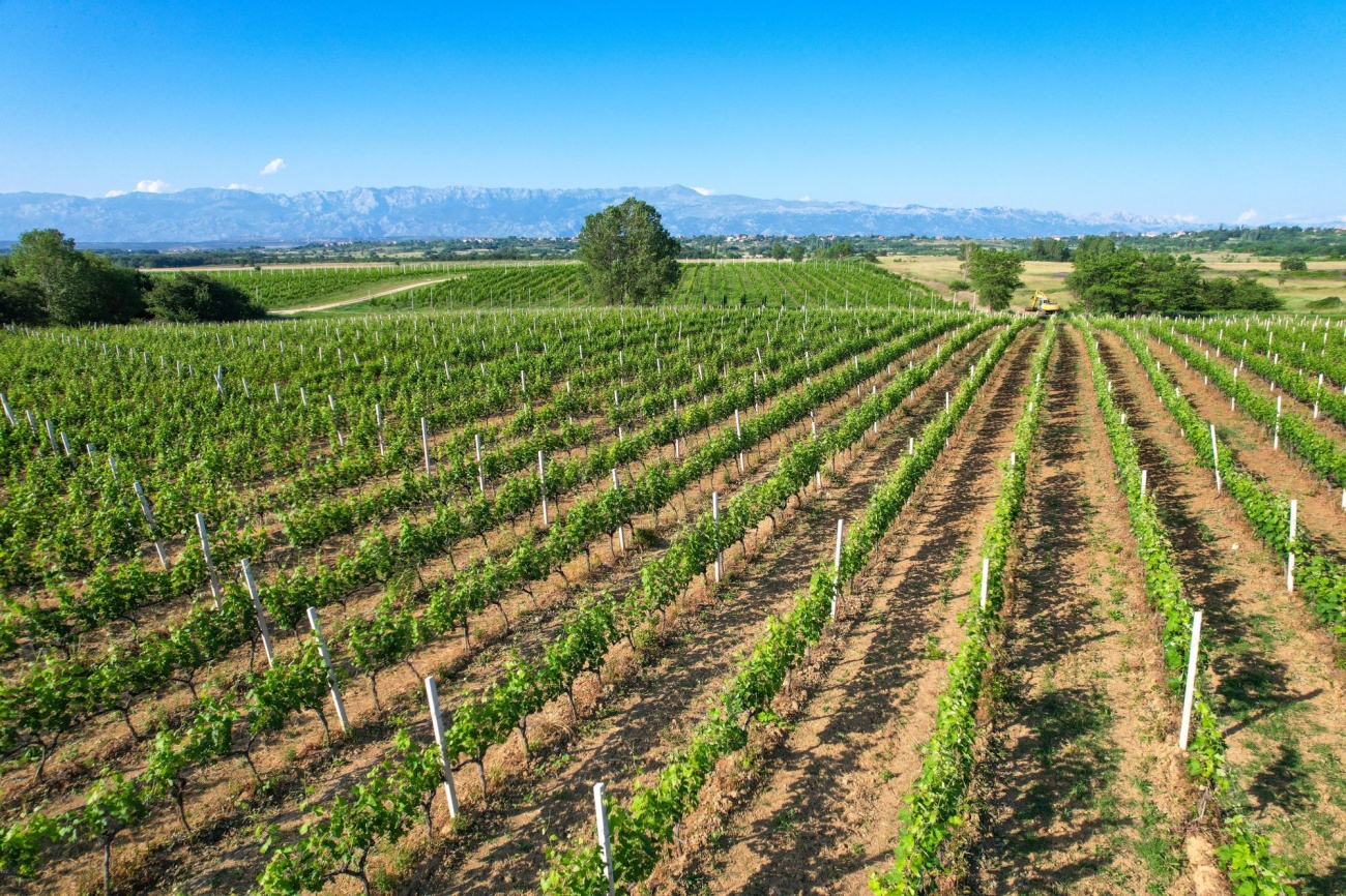 Najava objave Javnog poziva za podnošenje zahtjeva za dodjelu sredstava potpore iz područja poljoprivrede i ruralnog razvoja za 2025. godinu.